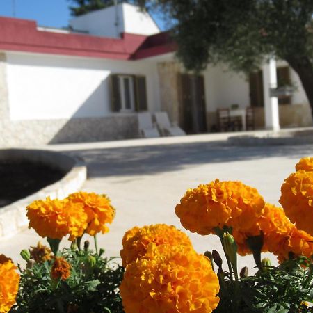 Casa Ale & Vinci Βίλα Monopoli Εξωτερικό φωτογραφία
