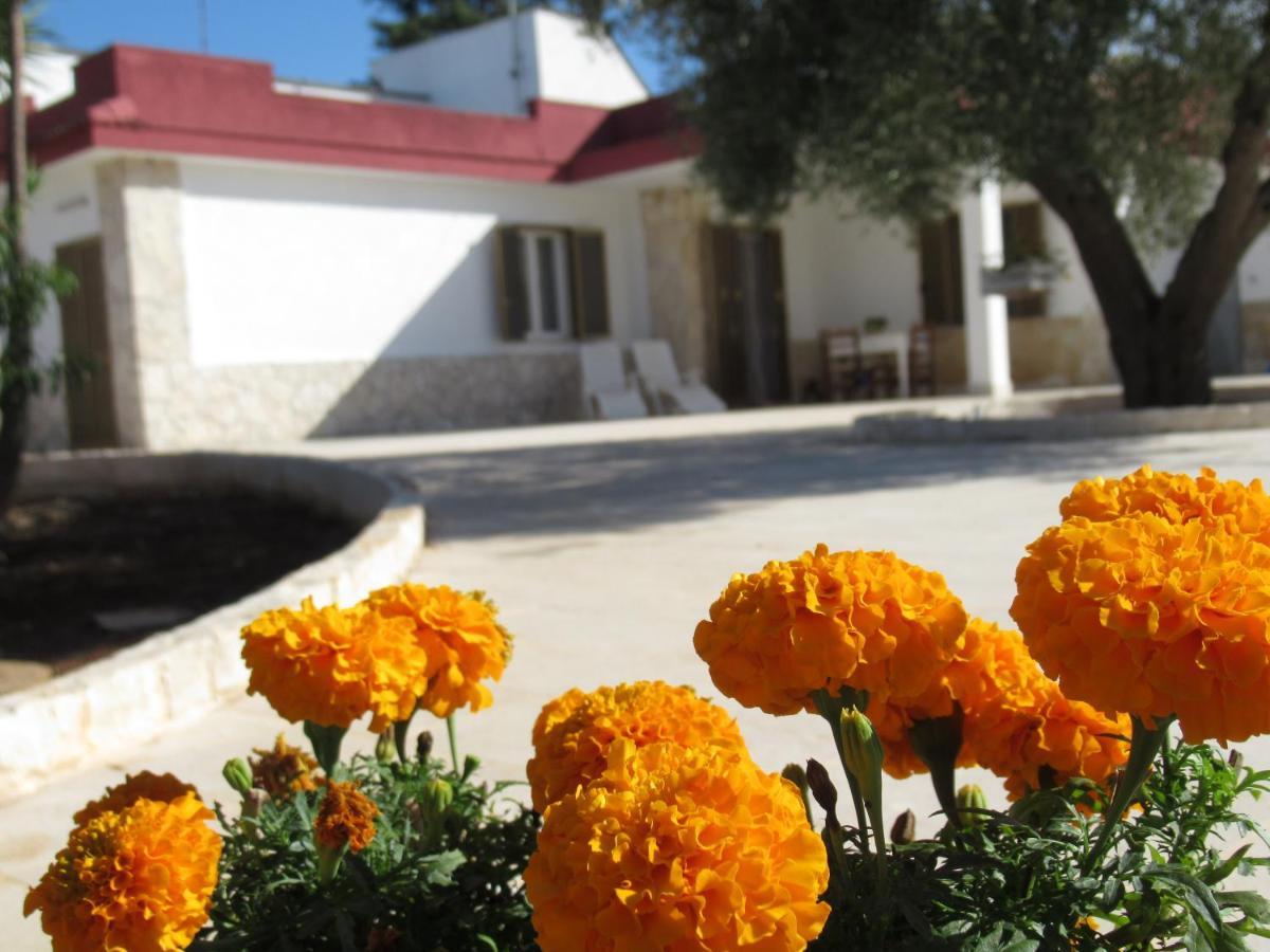 Casa Ale & Vinci Βίλα Monopoli Εξωτερικό φωτογραφία
