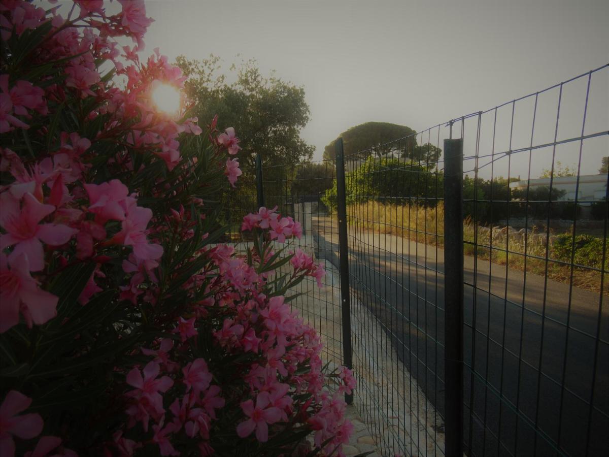 Casa Ale & Vinci Βίλα Monopoli Εξωτερικό φωτογραφία