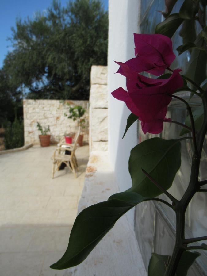 Casa Ale & Vinci Βίλα Monopoli Εξωτερικό φωτογραφία
