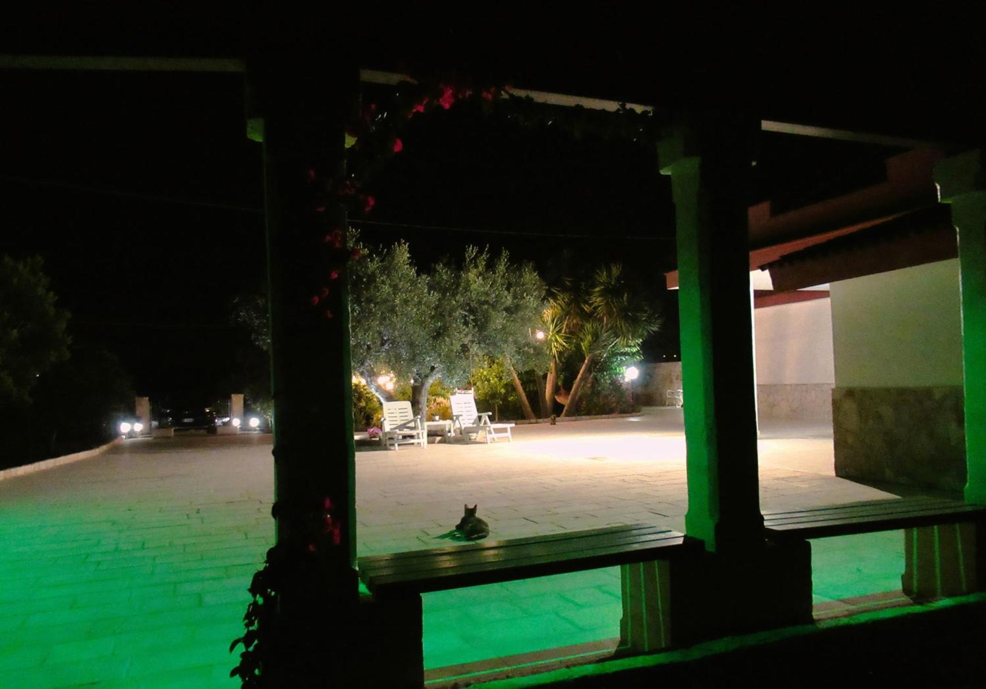 Casa Ale & Vinci Βίλα Monopoli Εξωτερικό φωτογραφία