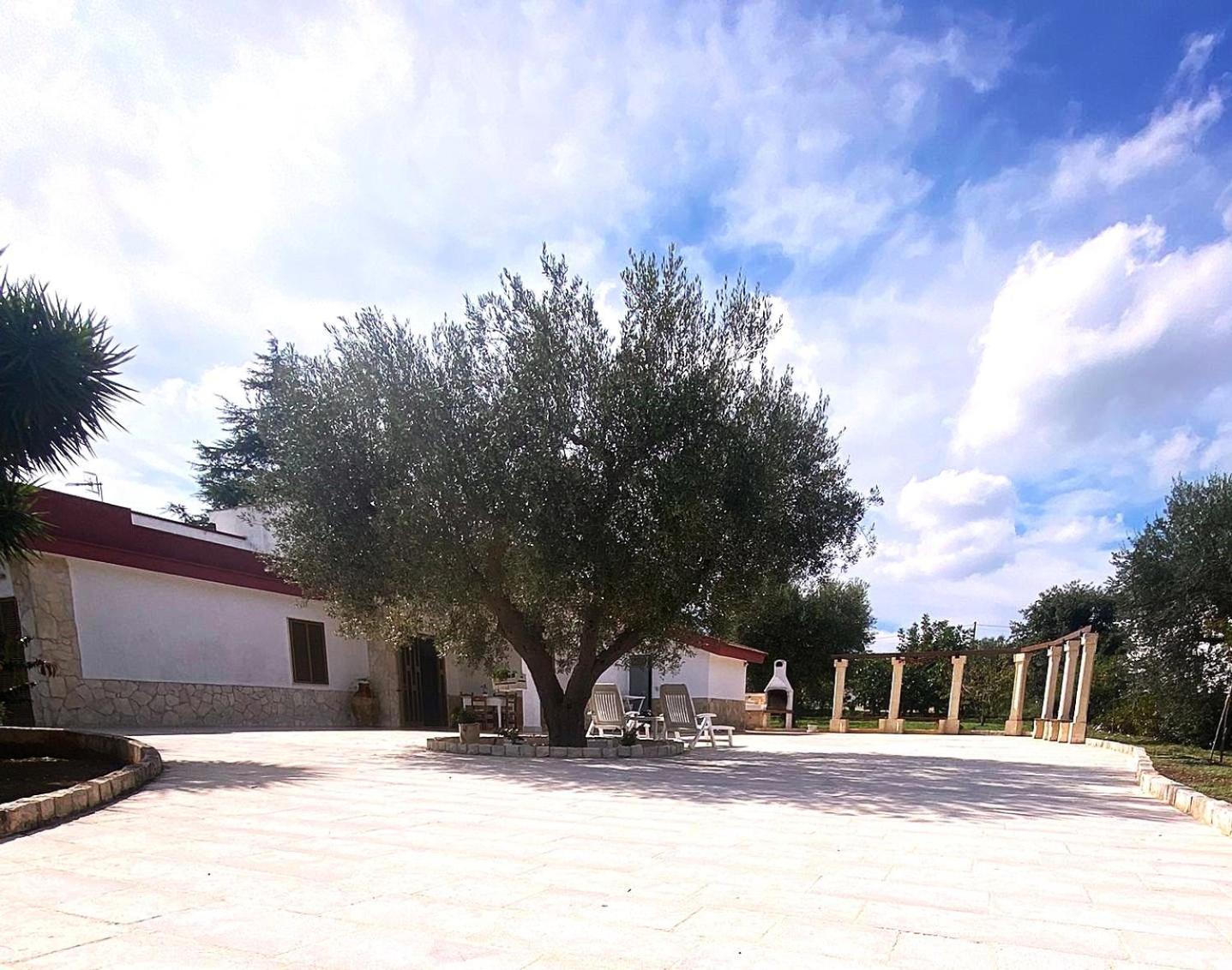 Casa Ale & Vinci Βίλα Monopoli Εξωτερικό φωτογραφία