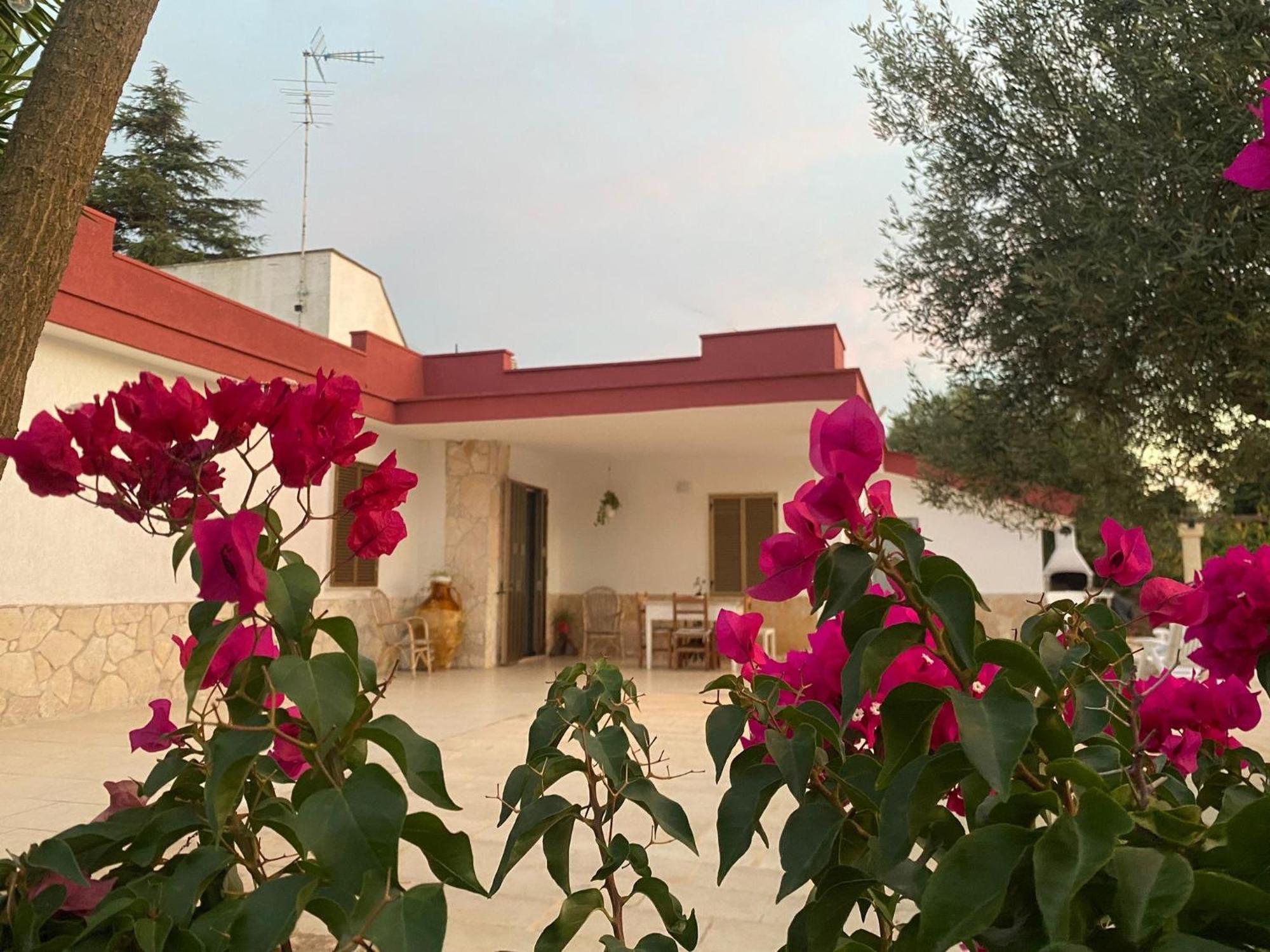 Casa Ale & Vinci Βίλα Monopoli Εξωτερικό φωτογραφία